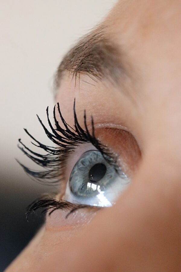 eye, mascara, makeup, eyelashes, woman, female, eyebrows, iris, human, eyeball, brown makeup, mascara, mascara, mascara, mascara, mascara, eyelashes, eyeball, eyeball, eyeball, eyeball